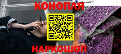бошки Донецк